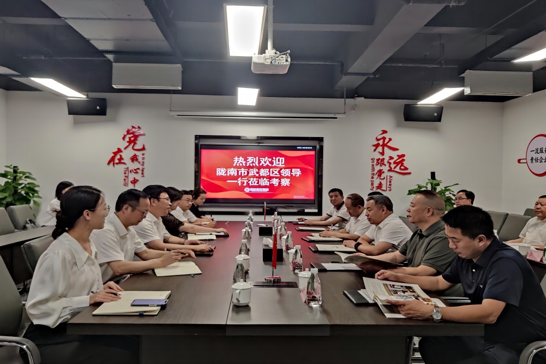 交流相助 同营生长 ——陇南市武都区向导一行莅临pp电子游戏餐饮治理集团调研考察